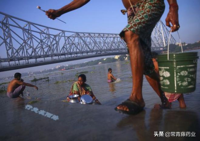 什么是大肠杆菌和细菌感染,大肠杆菌感染是什么意思