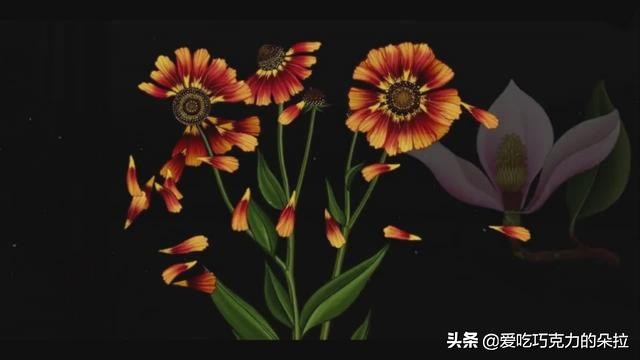 终于懂了古人为何如此爱花,古人为什么以花喻人