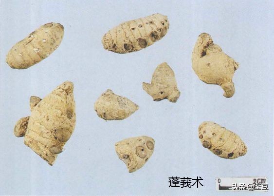 中药材伪品太多，俗有南国神草之称的三七，就有十多种假货