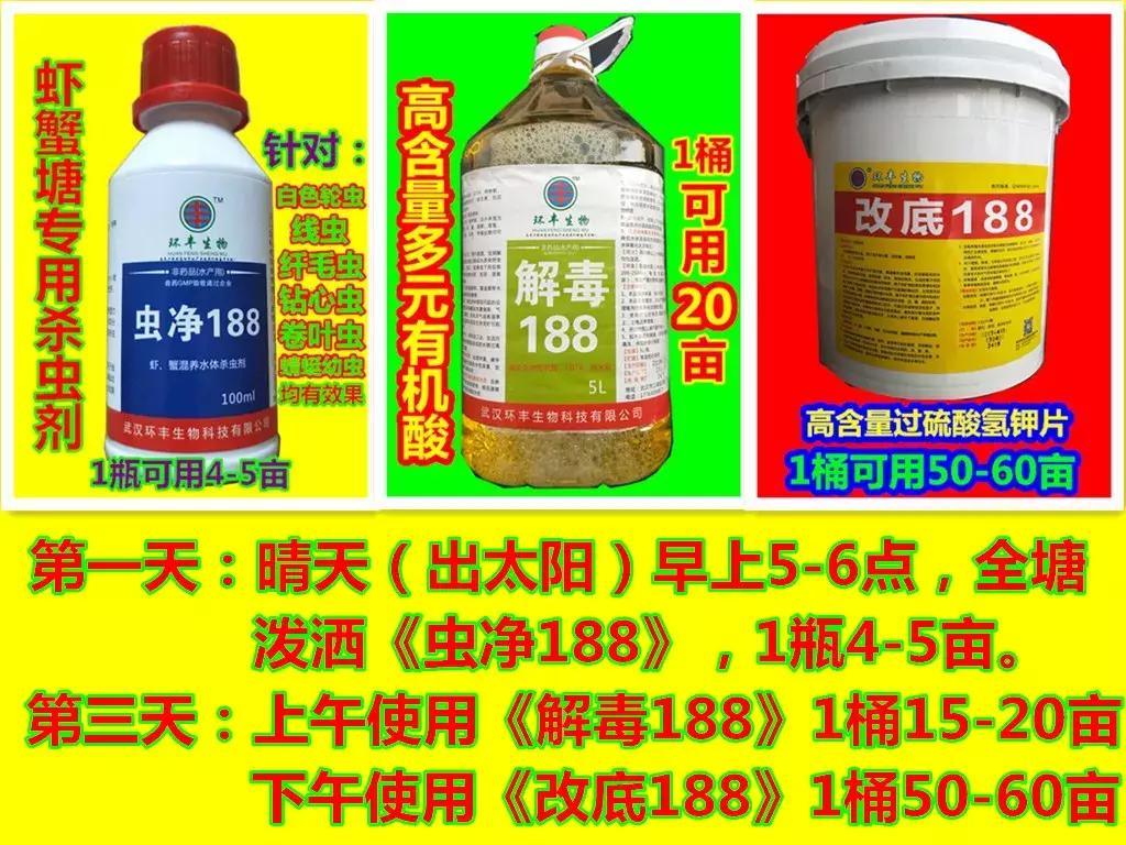 轮叶黑藻养殖小龙虾技术管理,小龙虾塘没有伊乐藻还能养吗