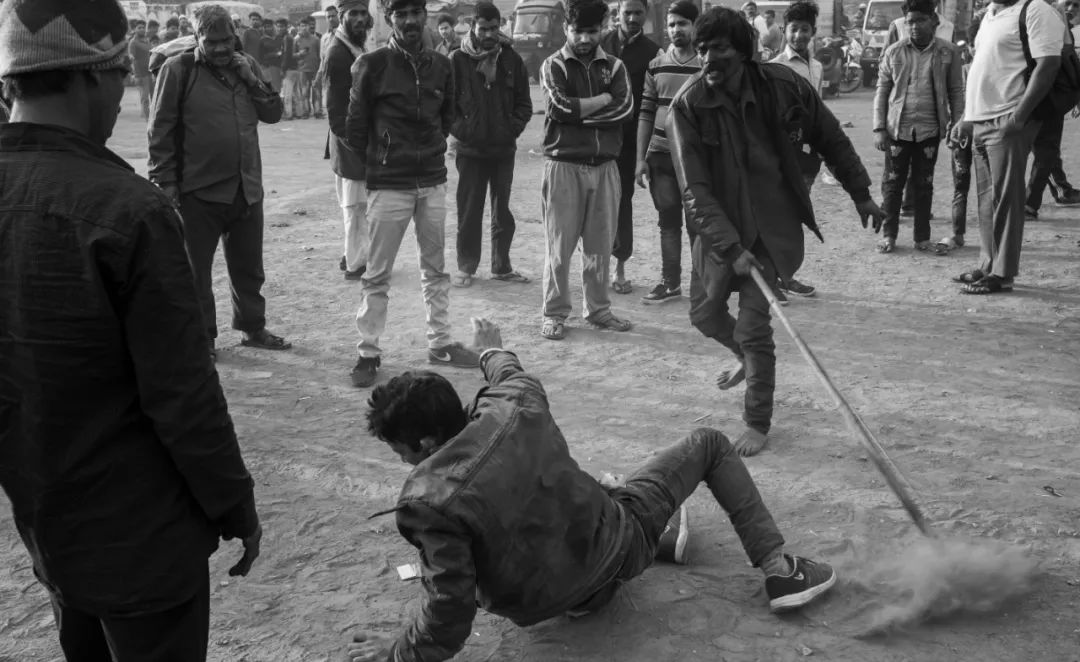 王员外图片,王员外摄影剪辑