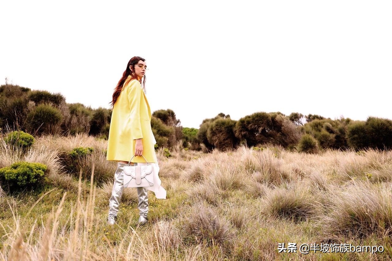 半坡饰族介绍,半坡饰族