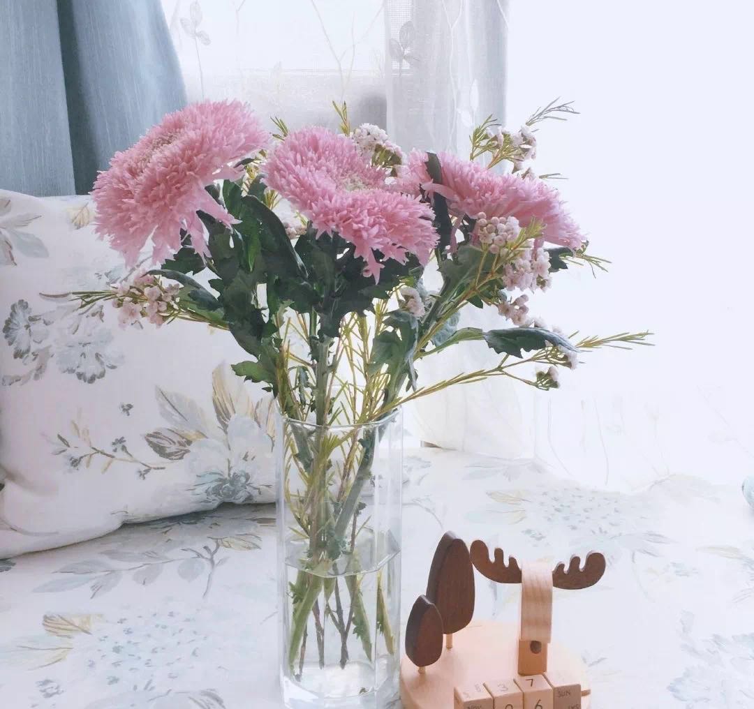 泰迪向日葵菊花,泰迪向日葵和玫瑰