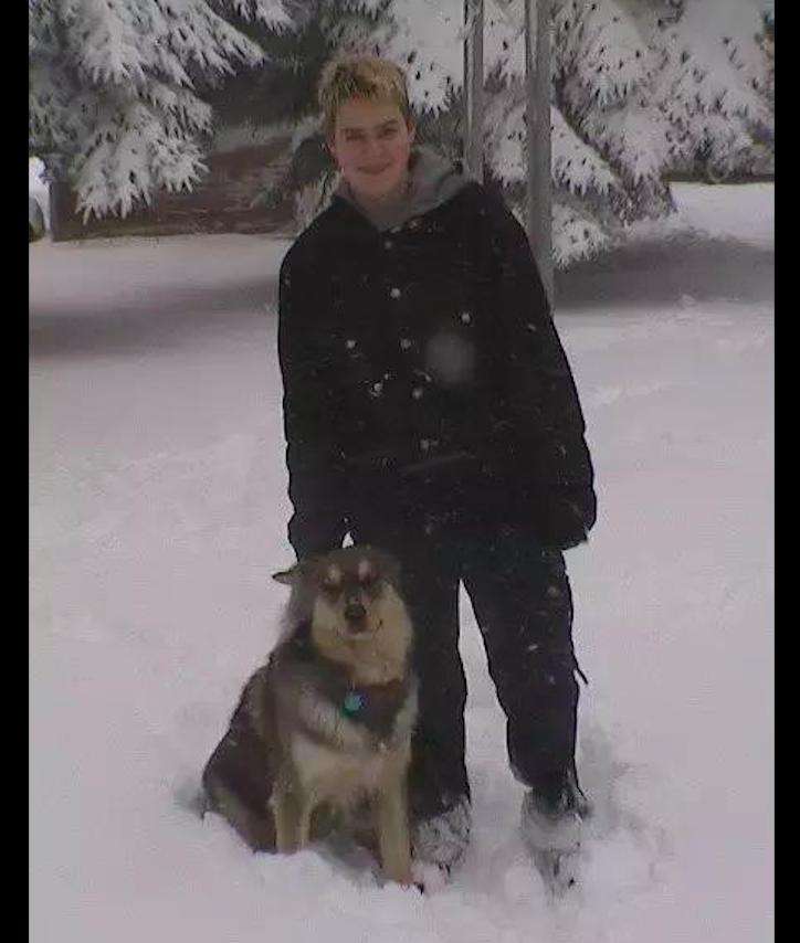 狗狗因肿瘤被无情的抛弃,狗狗恶性肿瘤要安乐死吗