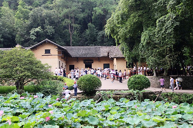 毛主席看到与母亲的合影,激动地用土话问道:咯是从哪里拱出来的