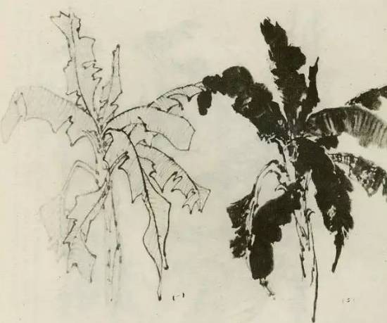 画树教程,怎么画树好看又超级简单