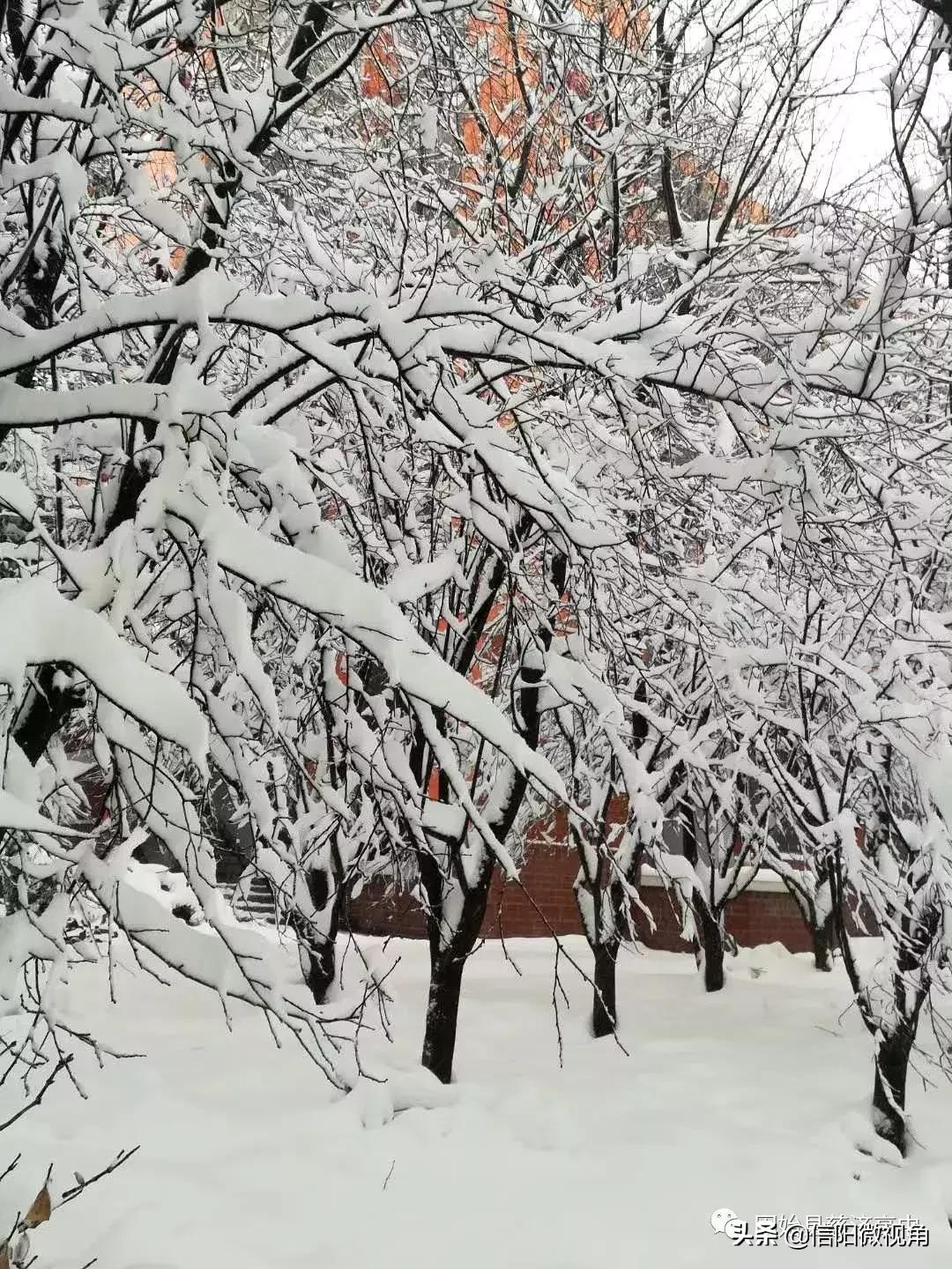固始县慈济高中操场多大图,固始县慈济高中附近有啥好玩的