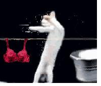 快手上的49座墓碑