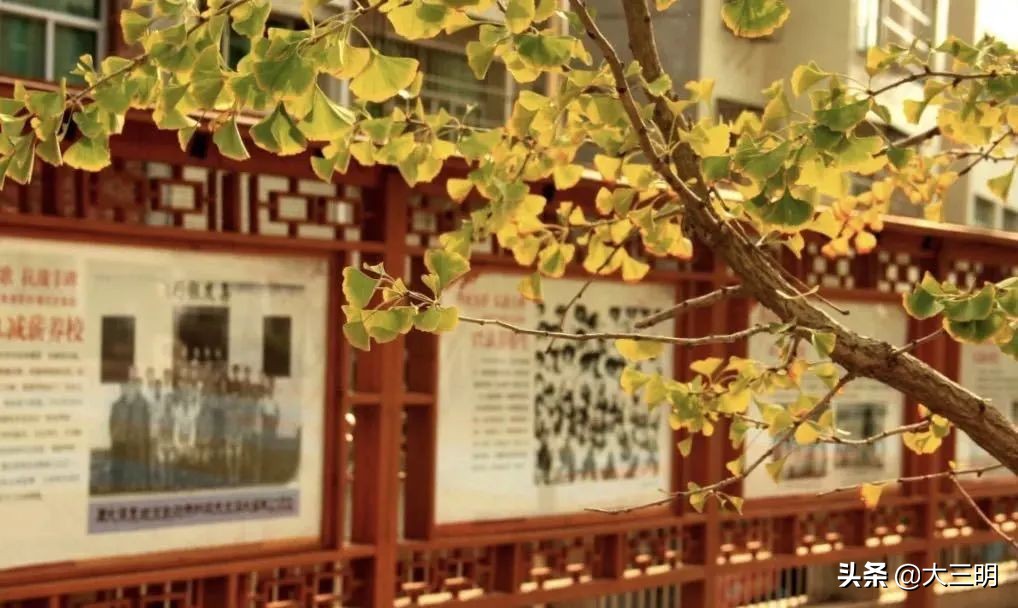 重温红色经典传承革命精神演讲,走进红色课堂传承红色基因广播稿