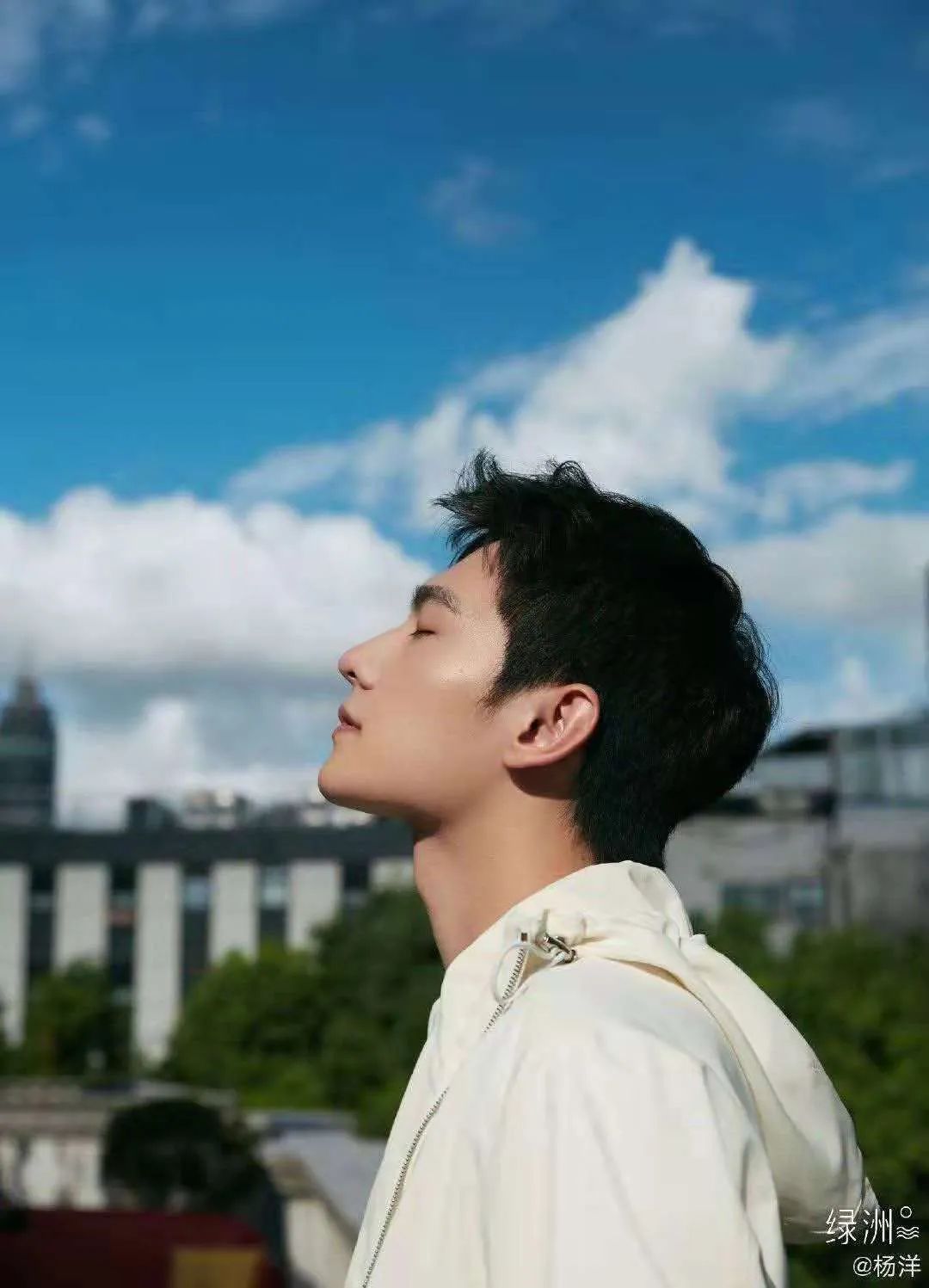 杨洋努力终有回报,杨洋不忘初心