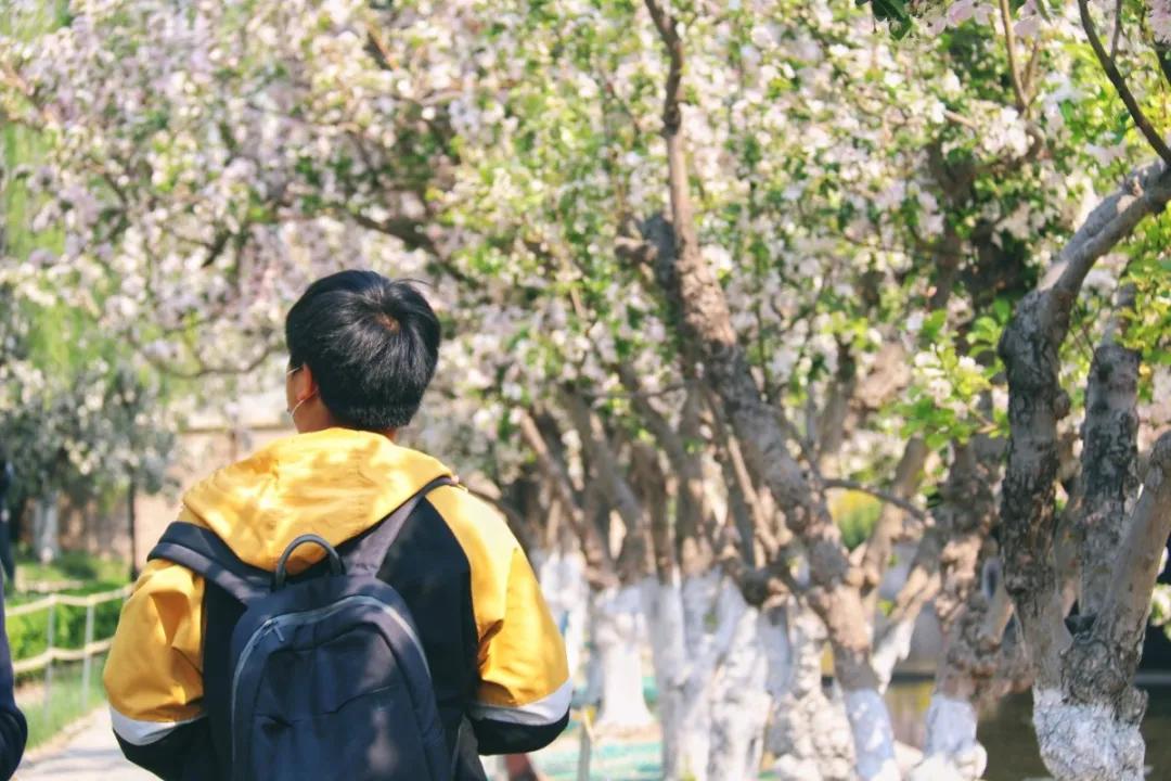 北京人少景美赏秋的公园,北京赏秋中山公园