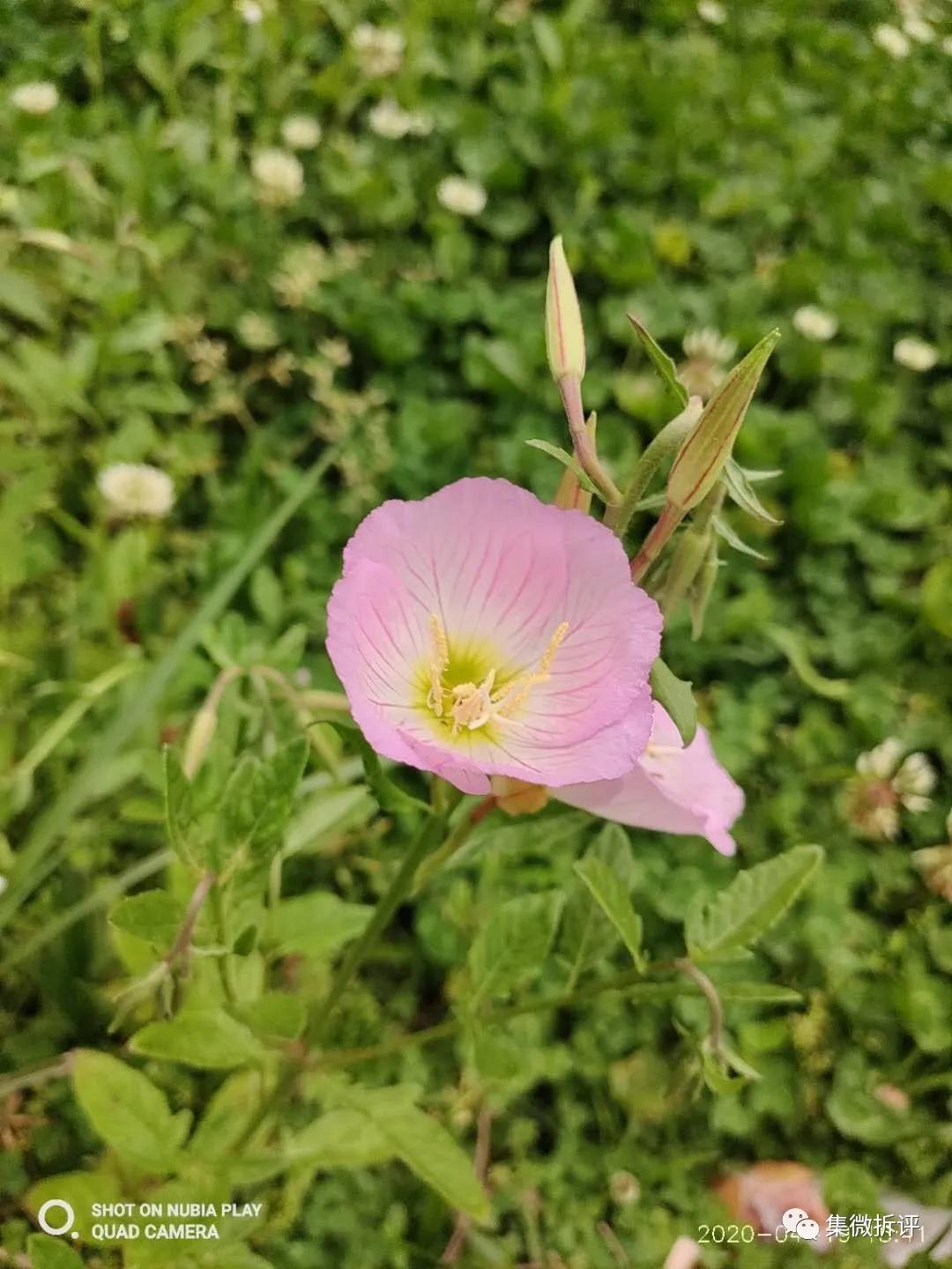 努比亚play和红米note10pro哪个好,努比亚play详细细节测评