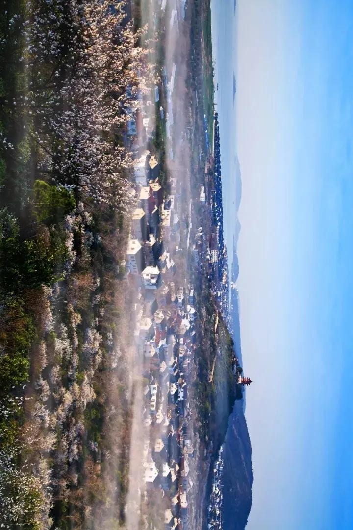 苏州西山有什么好的农家乐,苏州西山农家乐春节五日游