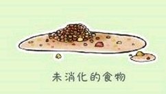 铲屎官都注意了狗狗为什么吐黄水,狗狗呕吐的5个常见原因