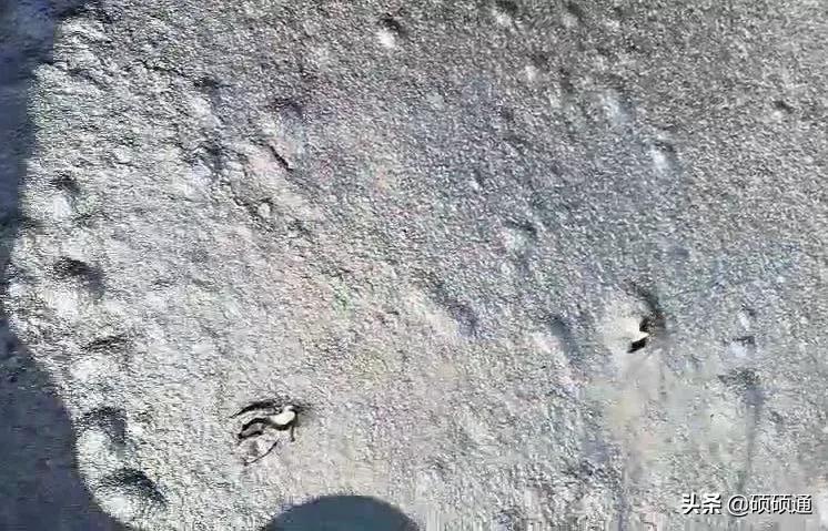 js聚合物水泥基防水涂料问题总结,浙江常见防水涂料怎么样