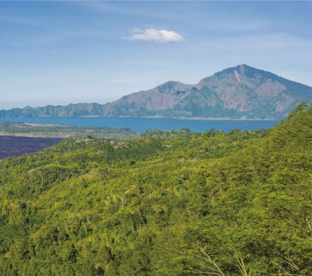 优德名品汇--养颜健体，当选印尼原盏进口燕窝