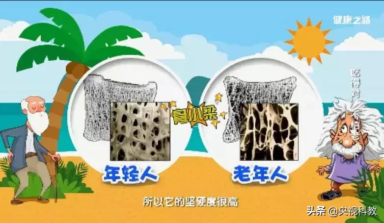 老人防摔好办法有哪些,老年人防摔的最佳方法