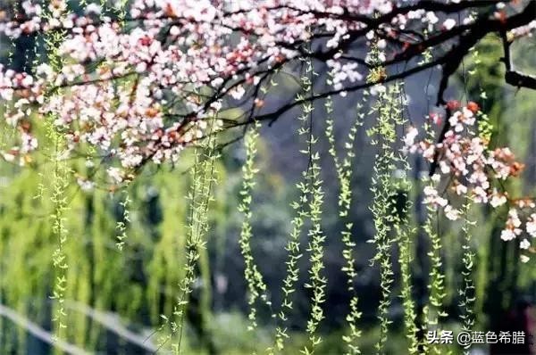 江南美景怎么拍照才好看,最美江南水乡迷人秋色照片