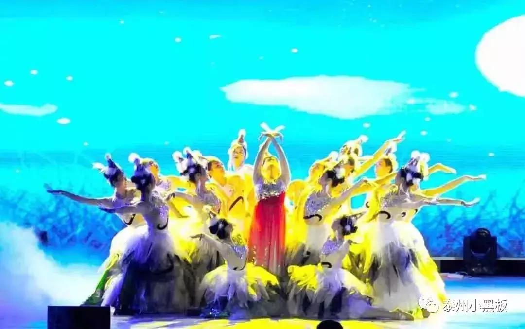 泰州高校—这份来自泰职院的专属说明书,你值得拥有