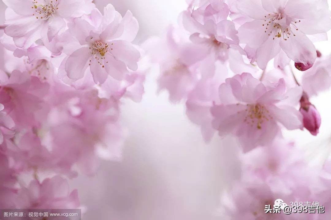 横尾幸弘动漫,横尾幸弘