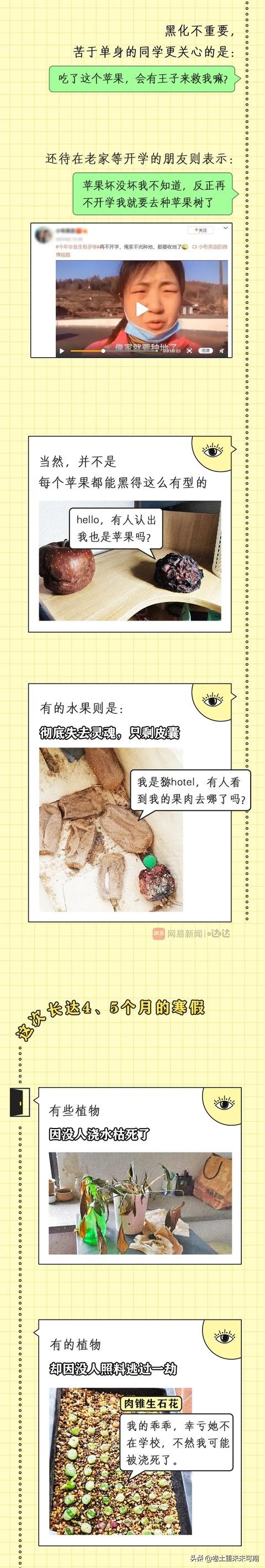 那些上学时最好看的漫画,开学前看的vs开学后看的漫画