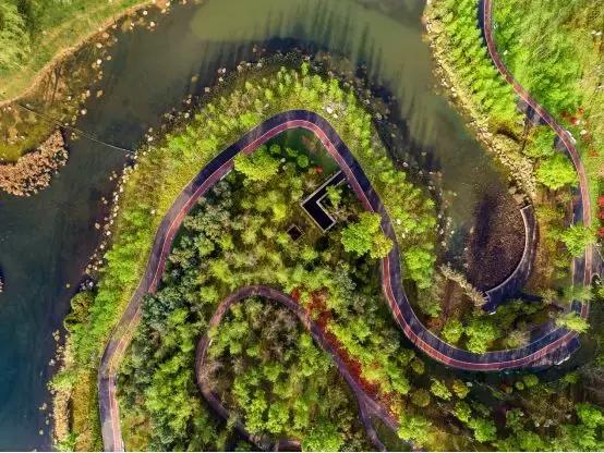 公园项目的正确玩法,公园玩法攻略