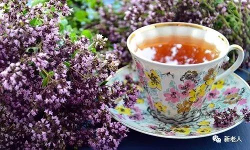 原来健康不等于长寿！一位保健专家的6句真心话，非常受益！