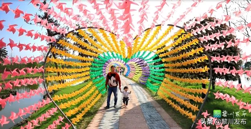 聚龙山赏花,聚龙湖畔好风景