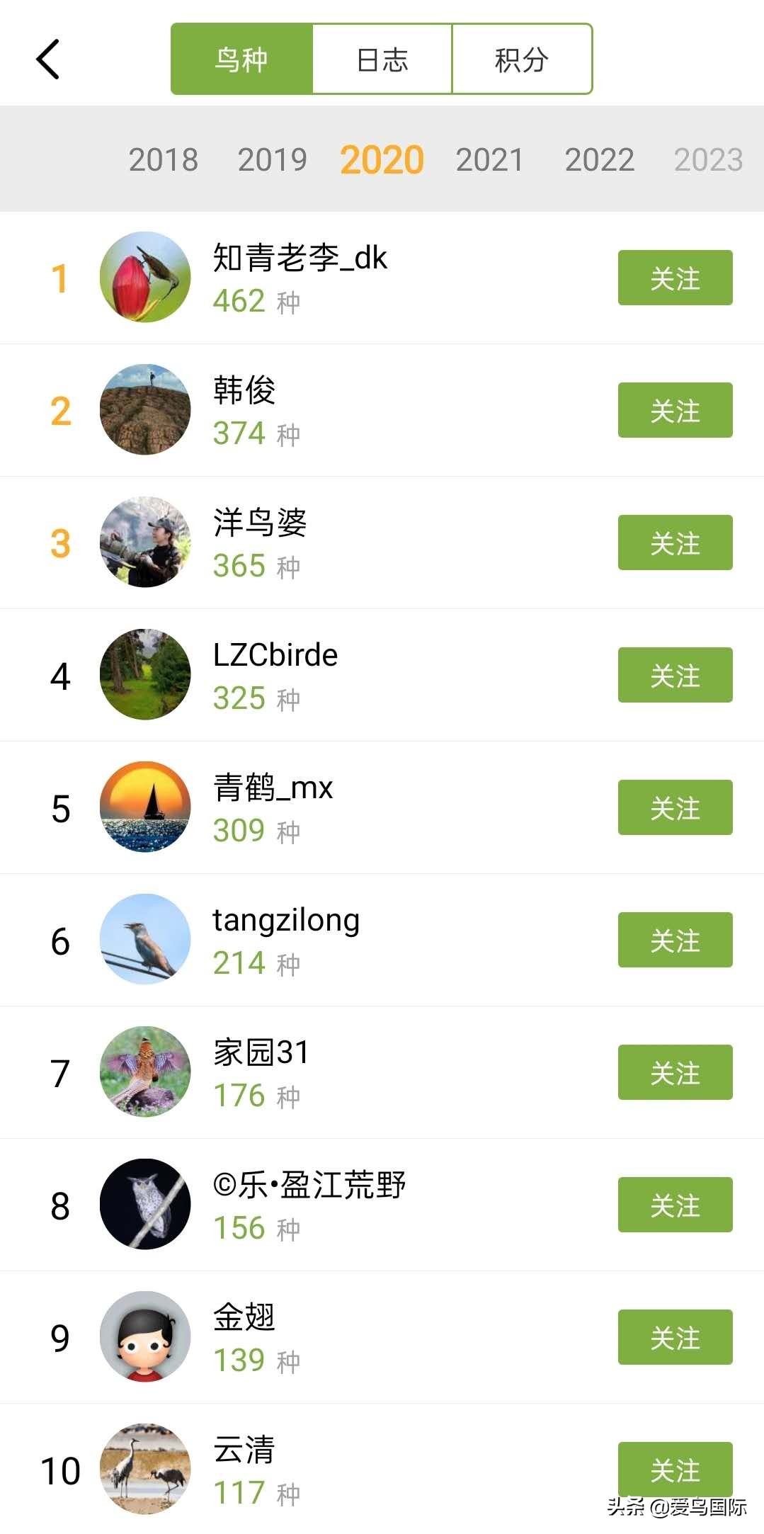 观鸟大年作品集,观鸟大年完整版