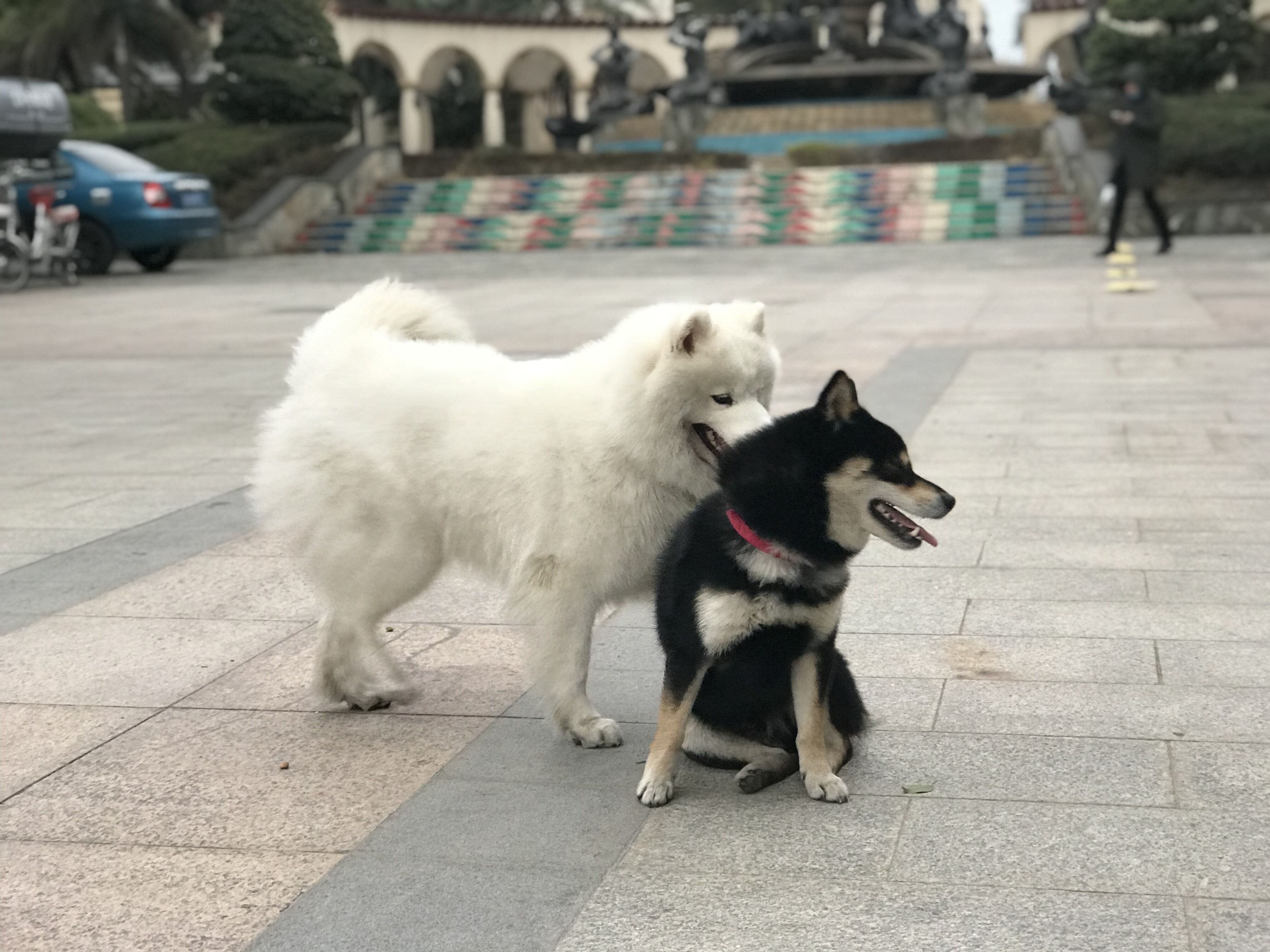 又见东兴,故地重游口岸都关闭了,不同时间不同伙伴不同心情
