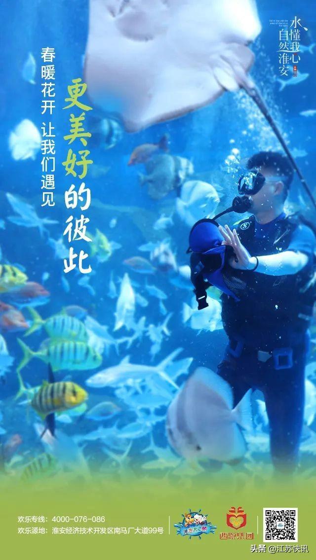 龙宫大白鲸什么时候开业,龙宫大白鲸今天夜场开放时间