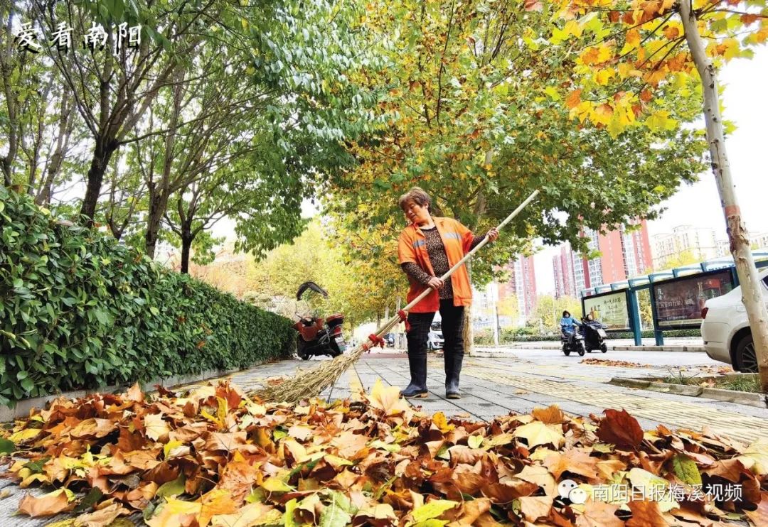爱看南阳㉘初冬·暖阳依旧
