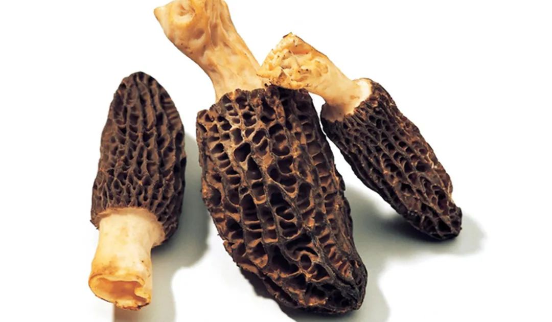 阿坝州不为人知的秘境,阿坝州的世外桃源村落