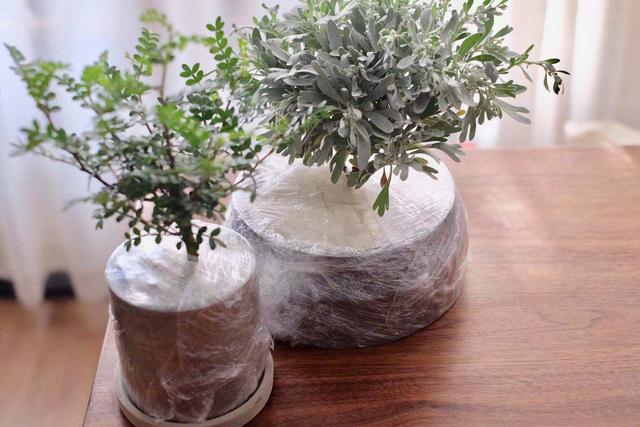 11月好物,10月实用好物推荐