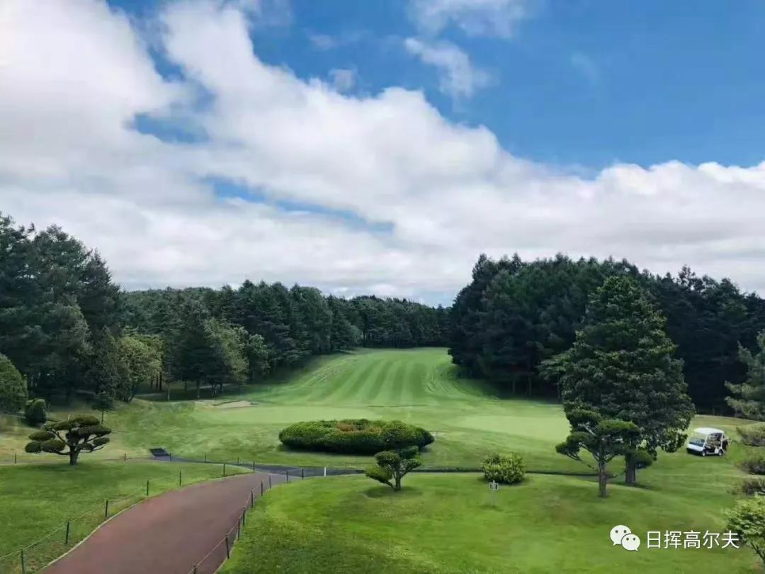 高尔夫球基本知识,高尔夫球规则和比赛技巧