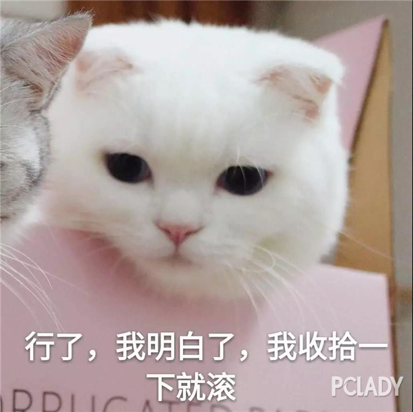 乔欣的同款化妆品,乔欣同款护肤