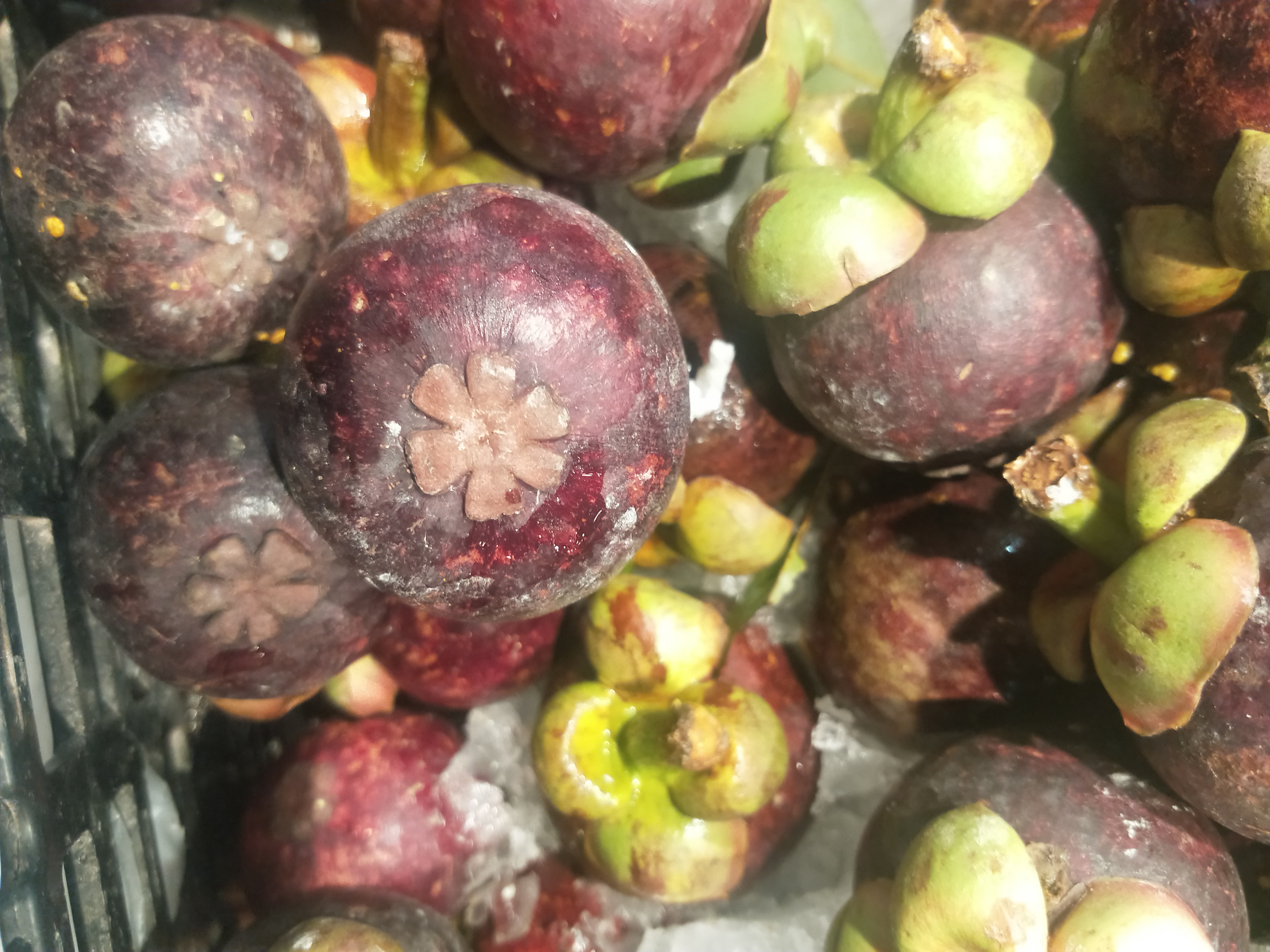 买山竹怎样选才肉多皮薄核还小,山竹怎么选硬的还是软的