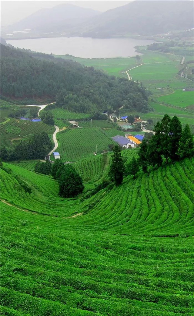 缓解眼睛疲劳动态图壁纸,好看的手机壁纸护眼高清图文