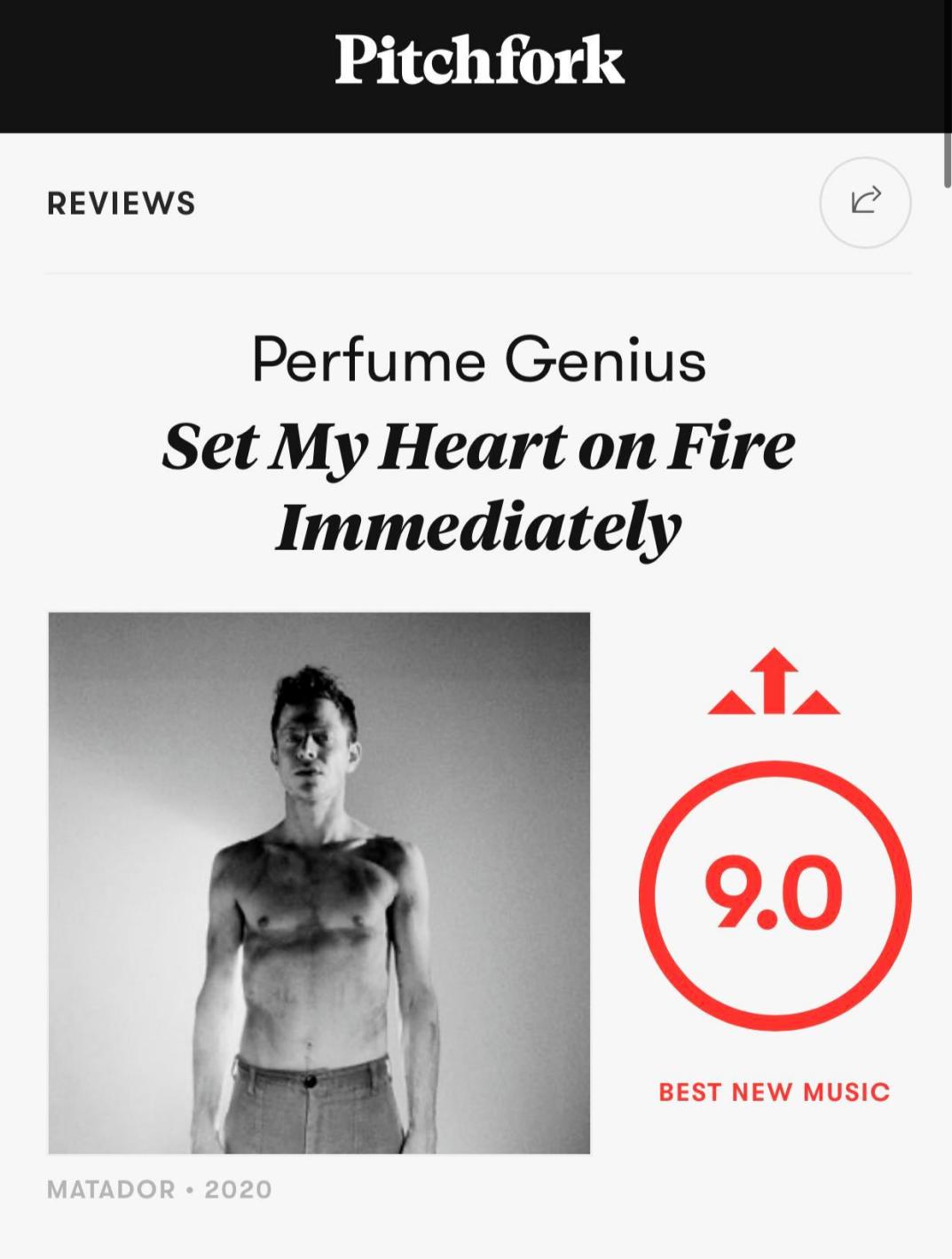 乐评网站pitchfork格莱美,pitchfork乐评合集