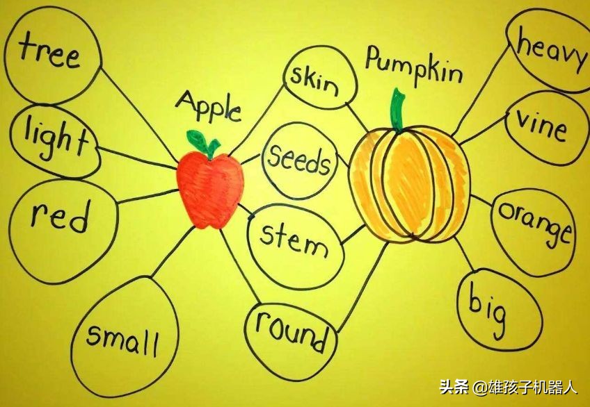 干货！美国幼儿园就使用的思维导图：让孩子学会自主学习和规划