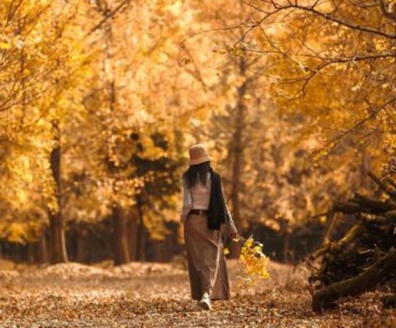 浮躁不安的心安静下来,如何让浮躁不安的心安静下来