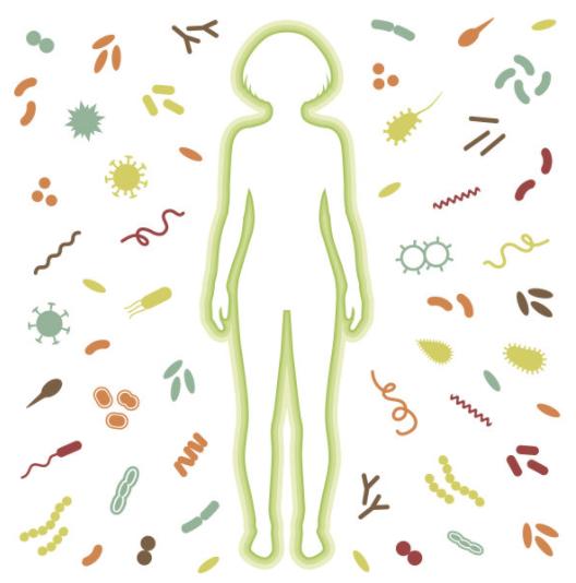 人体内的细菌在多少度以下,人体内最常见的细菌