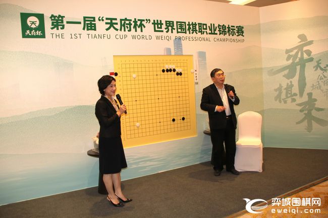 天府杯围棋第二轮赛况,天府杯决赛第三局大盘讲解