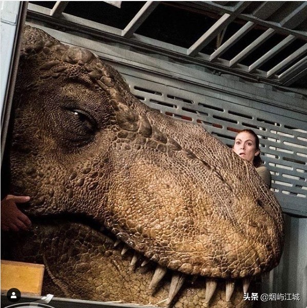 暴龙的形态,暴龙的不同形态