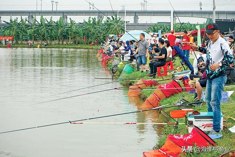 广东休闲渔业与垂钓协会垂钓大赛,休闲渔业和垂钓协会