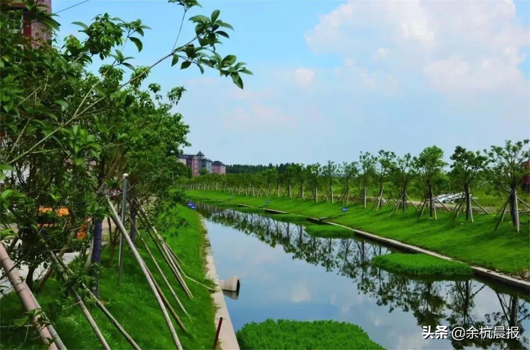 学校扩建,学校扩建项目效果图