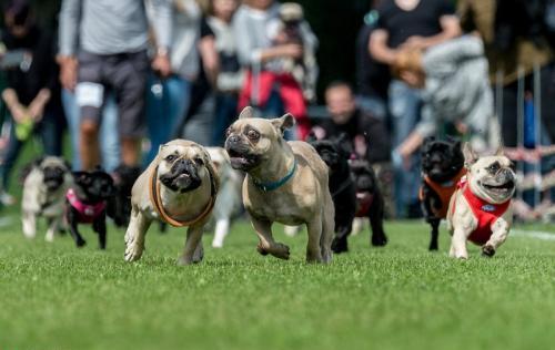 德国最有趣的冷知识,关于德国的有趣事实