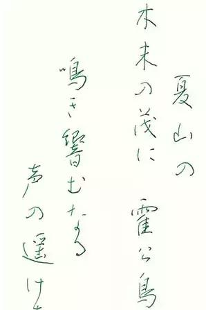 生活中带点绿,生活带点绿才美好