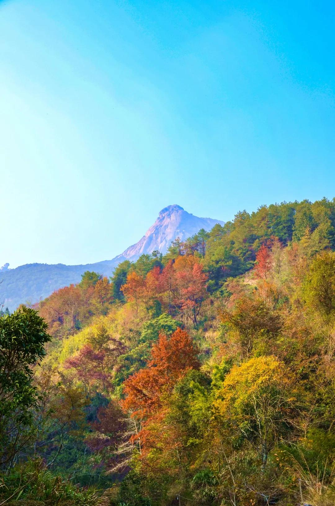 云髻山秋天图片,云髻山有雾凇吗