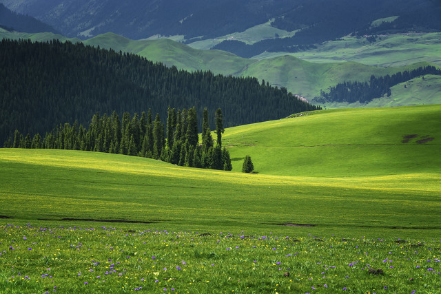 喀拉峻大草原风景好迷人,喀拉峻大草原生态环境